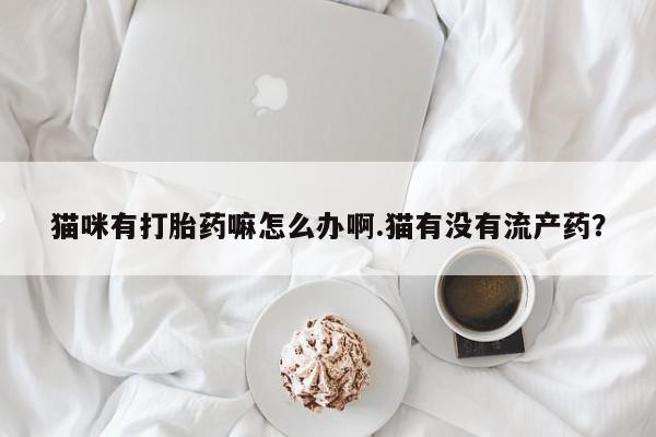 网上哪里可以买米非和米索，资讯 第61页