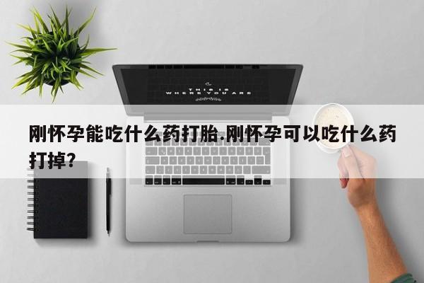 网上哪里可以买米非和米索，刚怀孕能吃什么药打胎.刚怀孕可以吃什么药打掉？